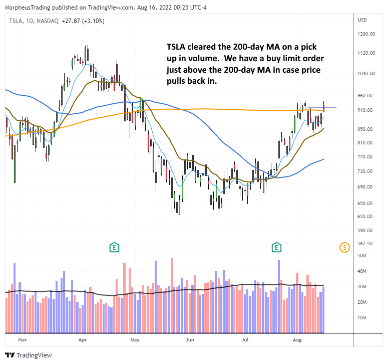 The Wagner Daily Tsla Reclaims Day Ma Buy On Weakness Or Strength