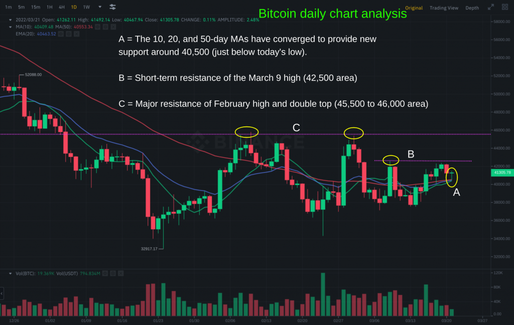 morpheus crypto price prediction