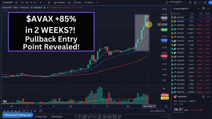 Crypto pullbacks
Bitcoin analysis
Ethereum resilience
Altcoin opportunities
AVAX, INJ, IMX, SNX, EGLD, TRB, SOL
Proactive trading
Strategic entry points
Swing trading strategies
Morpheus Trading Group
MTG Crypto Tribe
Precision trading insights
Deron Wagner


