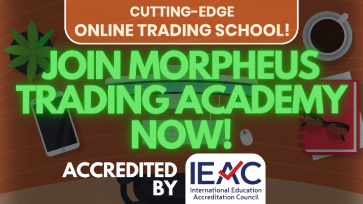 Morpheus Trading Group
Deron Wagner
Morpheus Trading Academy
Trading education
Online trading school
Proven strategy
Accredited curriculum
Technical analysis
Risk management
Trading psychology
Global community
Personal mentorship
Trading success

