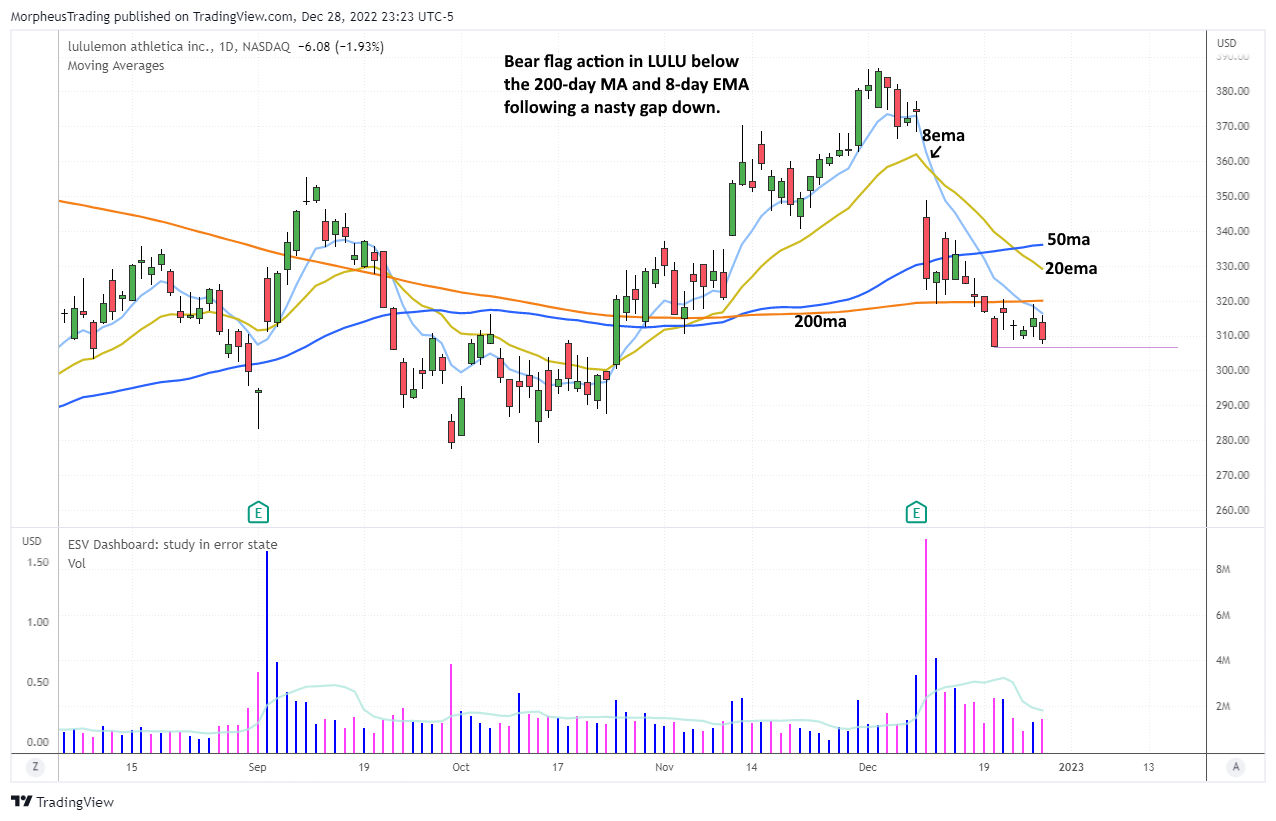 $LULU DAILY