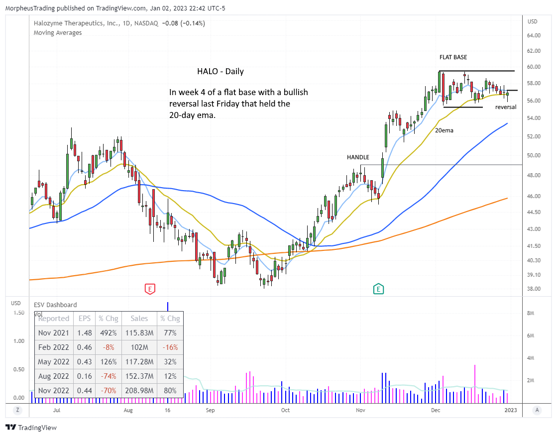 $HALO DAILY